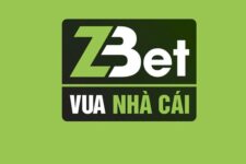 ZBET – Đánh giá nhà cái ZBET –  Link vào ZBET.Win uy tín nhất